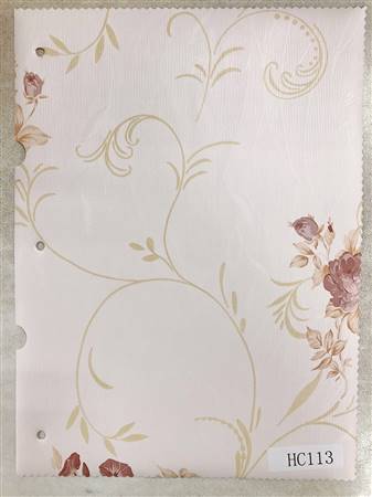 HC113