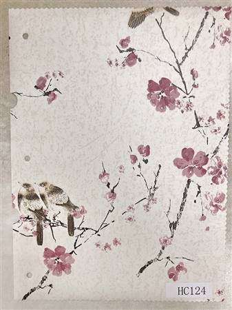 HC124