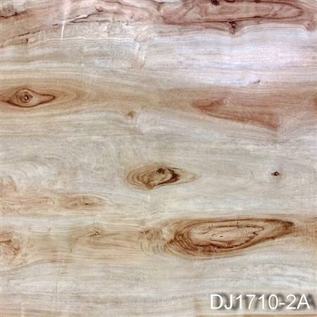 DJ1710-2A