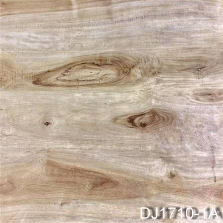 DJ1710-1A