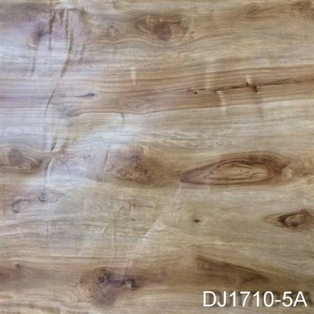 DJ1710-5A