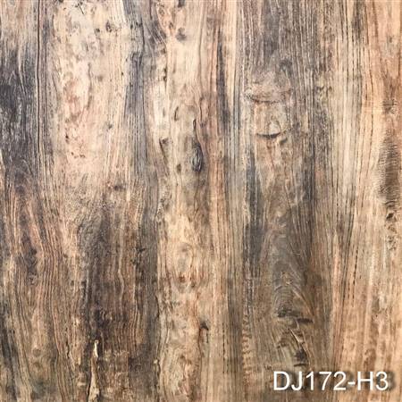 DJ172-H3