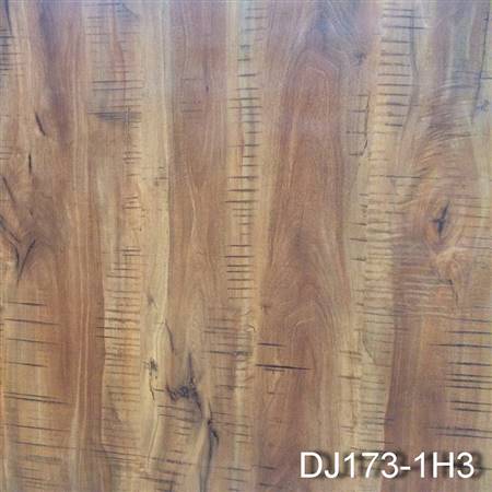 DJ173-1H3