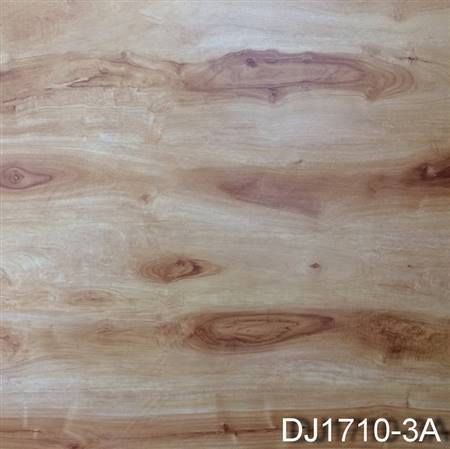 DJ1710-3A