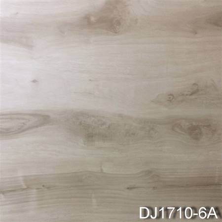 DJ1710-6A