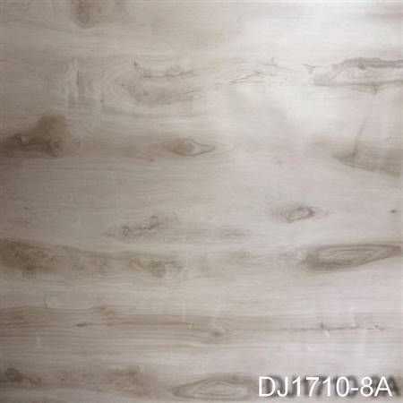 DJ1710-8A