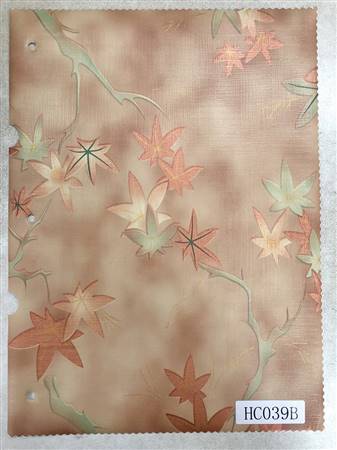 HC039B