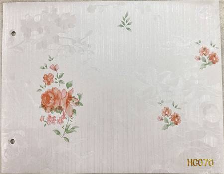 HC070