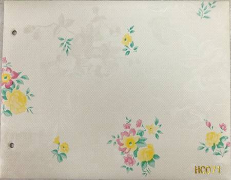 HC071