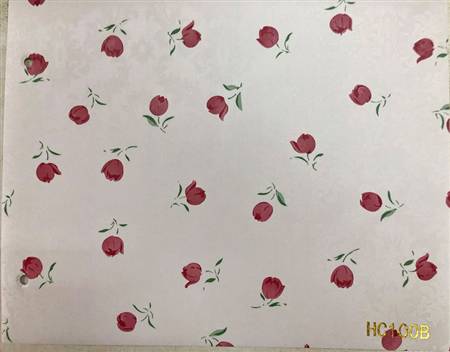 HC100B
