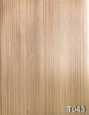 T043